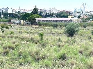 Partida Mestrets 6