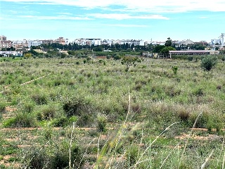 Partida Mestrets 8