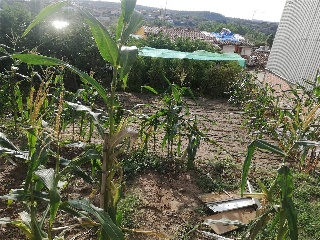 VERGE DEL SOL DEL PONT 12