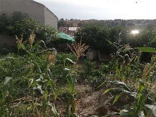VERGE DEL SOL DEL PONT 13