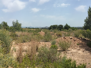 PTA. CHACARELL pol 27, parcela 240 2