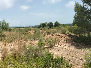 PTA. CHACARELL pol 27, parcela 240 4