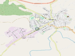 LOS ALCAZARES 11