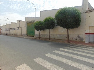 SALIDA DEL PERAL 15