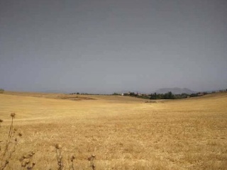 Suelo en Las Gabias - Granada - 11