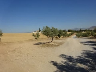 Suelo en Las Gabias - Granada - 13