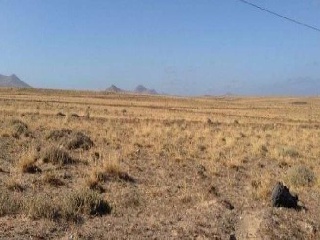 Suelo situado en Teguise 2