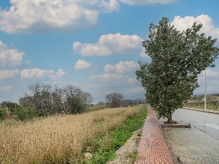 Suelo en El Verger - Alicante - 22