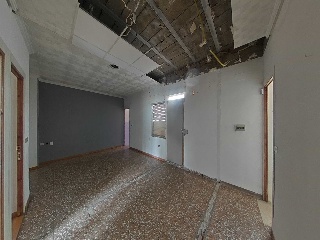 Palmar 5