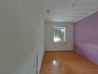 Palmar 8