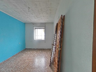 Palmar 9