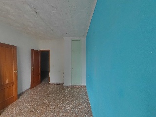 Palmar 10