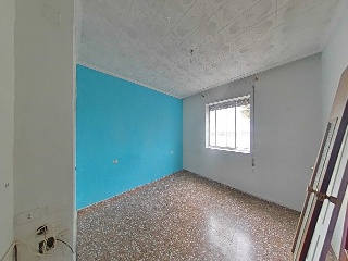 Palmar 11