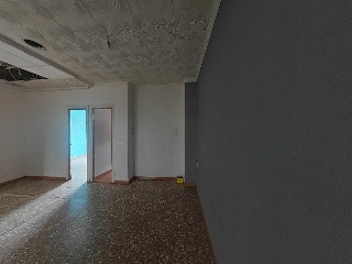 Palmar 12