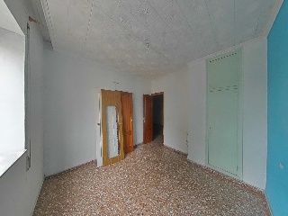 Palmar 13