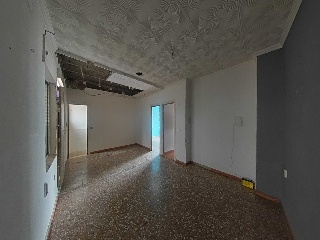 Palmar 14