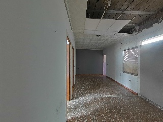 Palmar 16