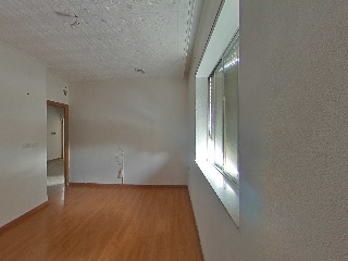 Palmar 17