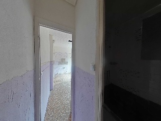 Palmar 20