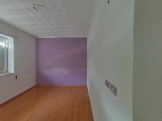 Palmar 22
