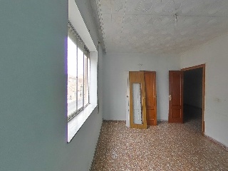 Palmar 23