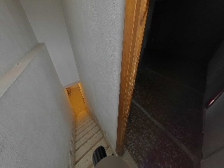 Palmar 28