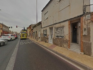 Palmar 30