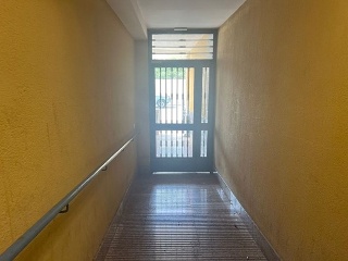 Joaquinico 6
