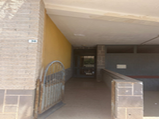 Joaquinico 7
