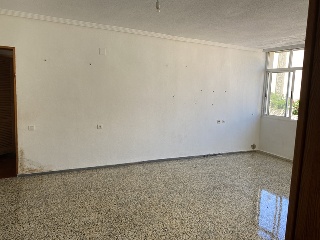Bola Dorada 16