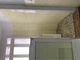 Bola Dorada 28