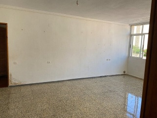 Bola Dorada 36