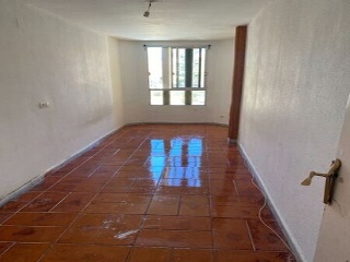 Bola Dorada 38