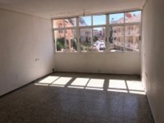 Bola Dorada 41