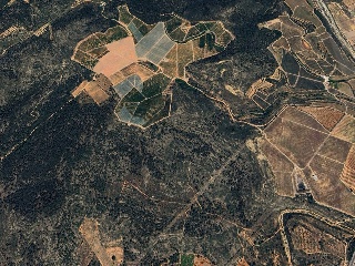 Suelos rústicos en Ptda. Baldomet - Alcalá de Xivert - Castellón 42