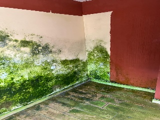 Casa adosada en Cabreros del Río - León - 21