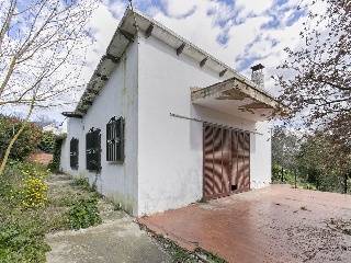 17317-0001 11