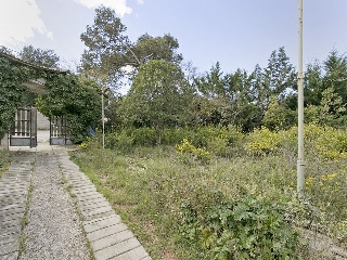 17317-0001 29
