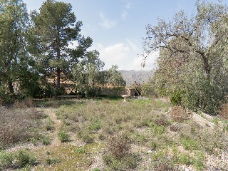 00856-0001 18