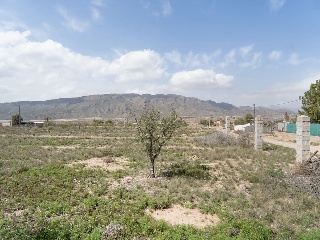 00856-0001 21