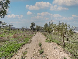 00856-0001 22