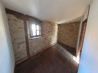 Vergara 24