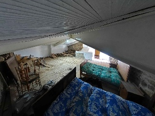 Vergara 56