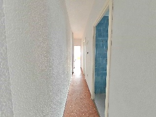 Bonillo 29