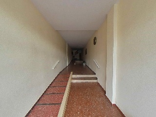 Bonillo 33