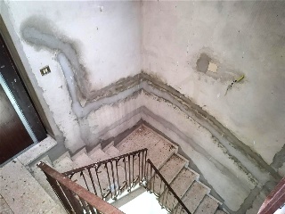 Panama 15