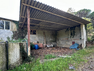 Bendaña 13