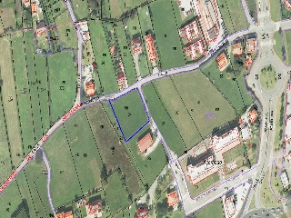 Resconorio 13