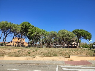 De la Serra 14
