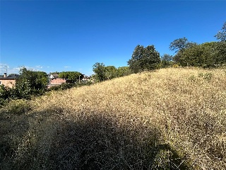 CEDRE 10